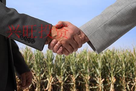 農業公司起名，霸氣，有寓意