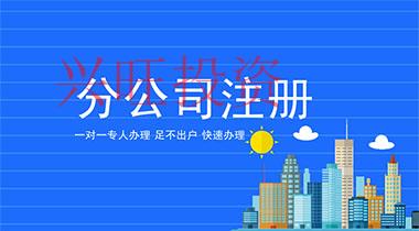 成立分公司名稱有哪些規(guī)定？