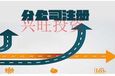 注冊(cè)分公司流程