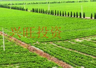 注冊一家農(nóng)業(yè)公司