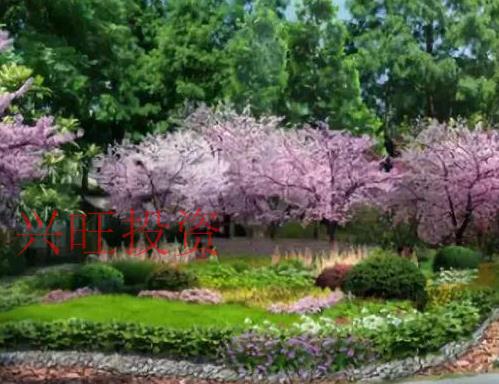 大氣景觀設(shè)計公司起名